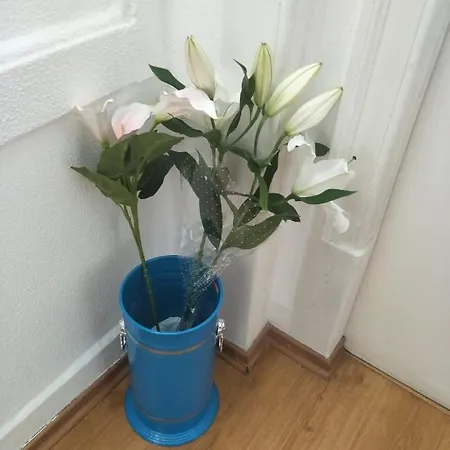 Albergue Swisslisbon Lisboa