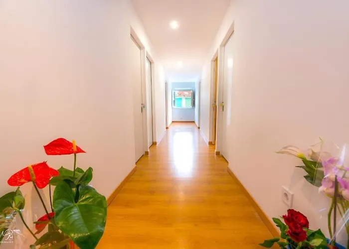 Auberge de jeunesse Swisslisbon *