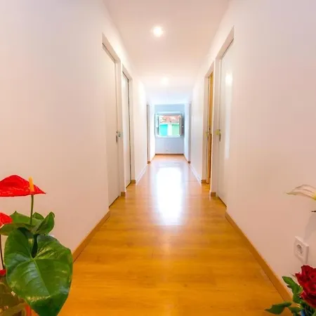 호스텔 Swisslisbon *